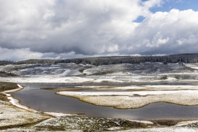 Yelllowstone River Spring 2025